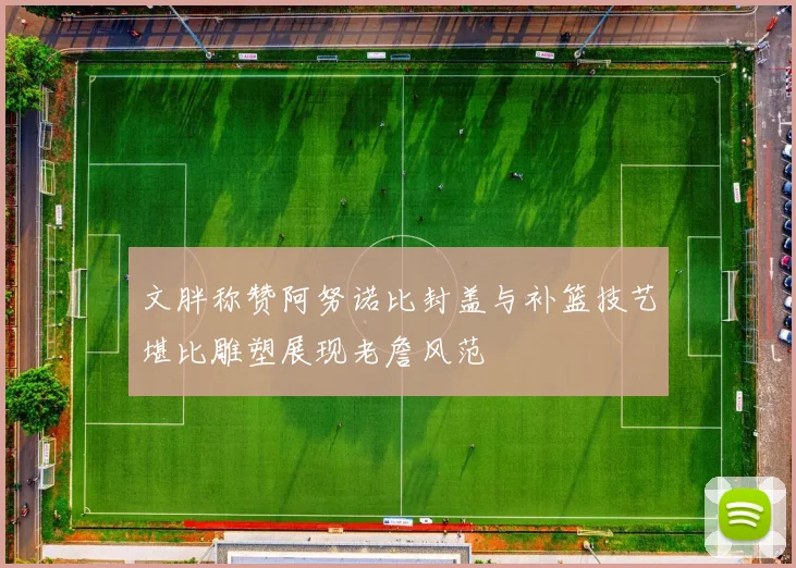 文胖称赞阿努诺比封盖与补篮技艺堪比雕塑展现老詹风范