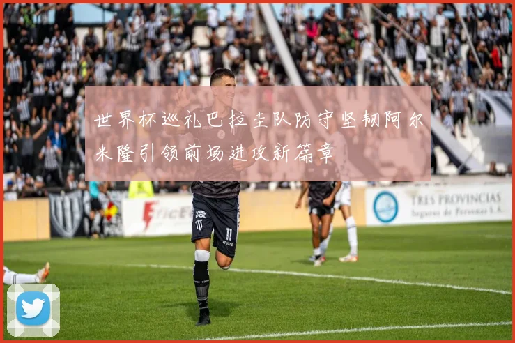 世界杯巡礼巴拉圭队防守坚韧阿尔米隆引领前场进攻新篇章
